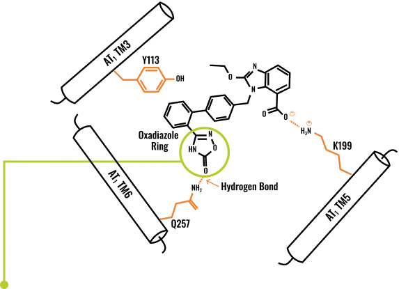 Edarbi Molecule